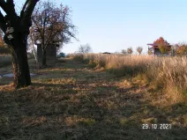 Prodej pozemku pro bydlení, Nížkovice, 996 m2