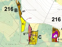 Dražba lesa, Krásné, 6169 m2