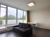 Pronájem bytu 2+kk, Brno, Vinařská, 55 m2