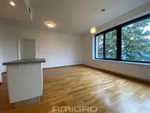 Pronájem bytu 3+kk, Brno, Preslova, 104 m2