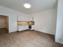 Pronájem bytu 3+kk, Brno, Pekařská, 60 m2
