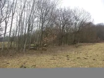 Prodej pole, Česká Kamenice - Horní Kamenice, 5161 m2