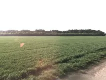 Prodej pole, Mečeříž, 8991 m2