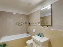 Pronájem bytu 1+kk, České Budějovice, Puklicova, 38 m2