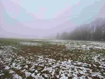 Dražba pole, Mrákotín, 2398 m2