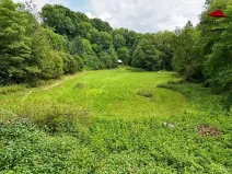 Prodej rybníku, Petrov, 7803 m2