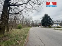 Prodej lesa, Býšť, 3807 m2