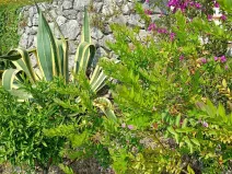 Prodej rodinného domu, San Nicola Arcella, Kalábrie, Itálie, 150 m2