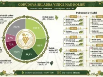 Prodej sadu/vinice, Troskotovice, 243931 m2