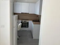 Pronájem bytu 1+1, Ostrava, Zeyerova, 28 m2