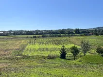 Prodej pozemku pro bydlení, Brodek u Prostějova, 3986 m2