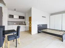 Pronájem bytu 1+kk, Praha - Bubeneč, Mlýnská, 37 m2