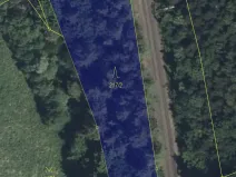 Prodej lesa, Žďárek, 2486 m2