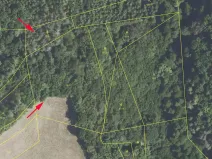 Prodej louky, Nezabudice, 6426 m2