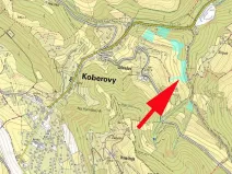 Prodej lesa, Železný Brod, 6562 m2