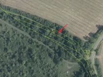 Prodej lesa, Mašťov, 1300 m2