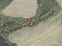 Prodej lesa, Dobříč, 4593 m2