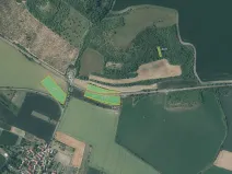 Prodej pole, Děčany, 16232 m2