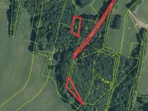 Prodej lesa, Stružnice, 2051 m2