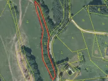 Prodej lesa, Dubnice, 2000 m2