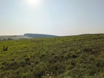 Prodej pozemku pro bydlení, Nové Lublice, 3046 m2