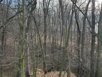 Prodej lesa, Kroměříž, 1674 m2