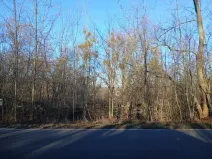 Dražba pozemku, Mladeč, 31766 m2