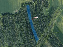 Dražba lesa, Koloveč, 3368 m2