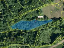 Dražba lesa, Hovězí, 2438 m2