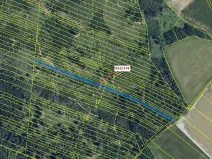 Dražba lesa, Nová Hradečná, 6275 m2