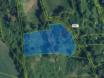 Dražba lesa, Benešov u Semil, 6213 m2