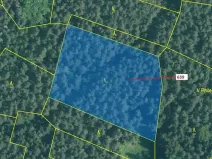 Dražba lesa, Kuřimany, 8912 m2