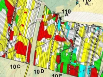Dražba lesa, Nová Hradečná, 12014 m2