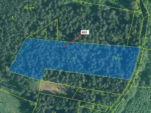 Dražba lesa, Kuřimany, 11584 m2