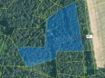 Dražba lesa, Kuřimany, 10437 m2