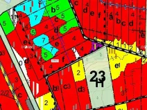 Dražba lesa, Břehov, 13807 m2