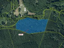 Dražba lesa, Čestín, 13976 m2