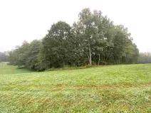 Dražba pozemku, Helvíkovice, 1994 m2