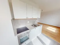 Pronájem bytu 2+kk, Mlečice, 51 m2