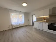 Pronájem rodinného domu, Čebín, 201 m2