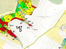 Dražba lesa, Čestín, 356 m2