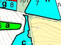 Dražba lesa, Kuřimany, 875 m2