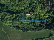 Dražba lesa, Hovězí, 550 m2