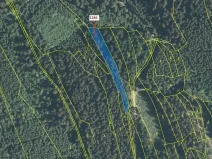 Dražba lesa, Lačnov, 2442 m2