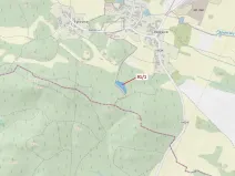 Dražba lesa, Pačejov, 3251 m2