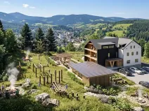 Prodej bytu 1+kk, Rokytnice nad Jizerou, 35 m2