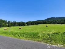 Prodej louky, Třebušín, 74552 m2