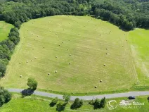 Prodej louky, Třebušín, 74552 m2