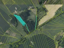 Prodej podílu louky, Počátky, 6751 m2