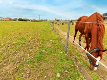 Prodej pozemku pro bydlení, Krmelín, 2760 m2